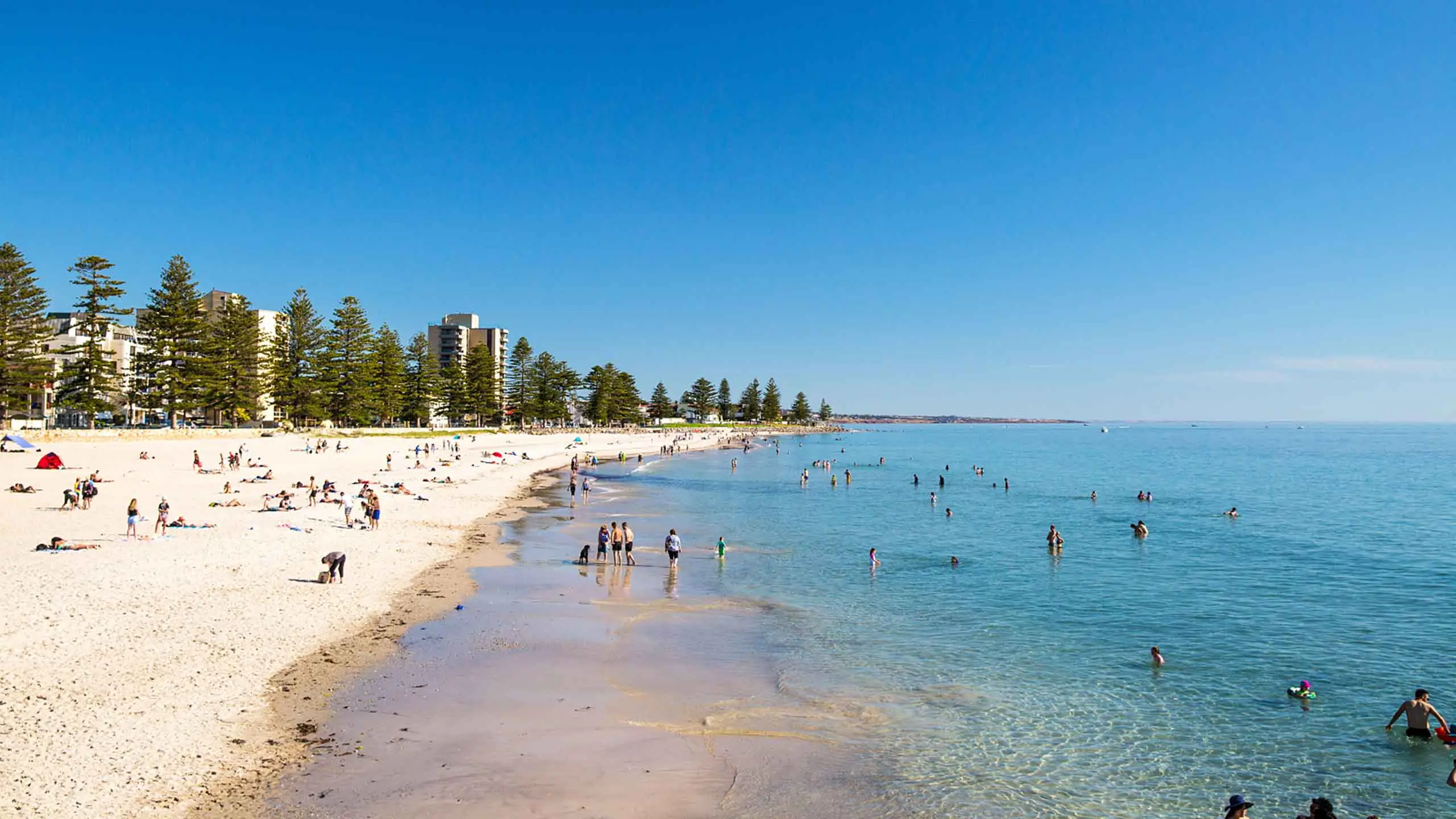 Turismo en Adelaida, Australia: Una Guía Completa para tu Visita - Can you swim in Adelaide in March adelaida australia turismo mar - Can you swim in Adelaide in March
