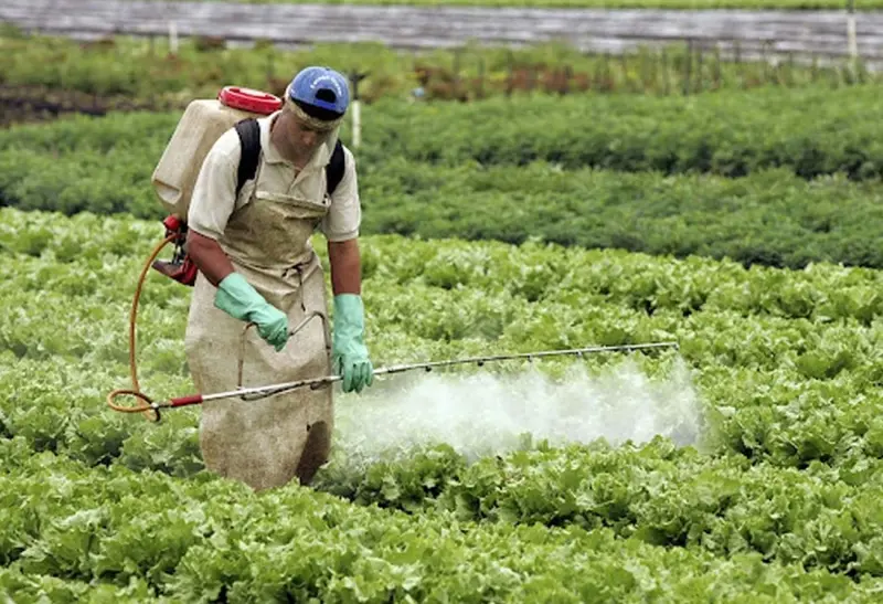 Consecuencias de los Agroquímicos en el Turismo: Un Análisis exhaustivo - Cómo contaminan los agroquímicos que concecuencia traen los agroquimmicos on respecto a el turismo - Cómo contaminan los agroquímicos