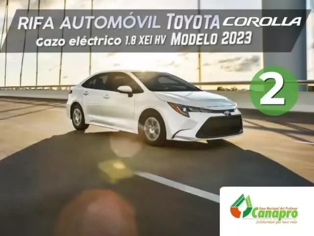 canapro turismo telefono - Cómo descargar las boletas de Canapro