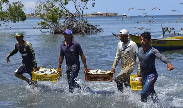 Producción y Turismo en la Isla de Margarita: Un Concepto en Crisis y Reinvención - Cómo describir la Isla de Margarita concepto produccion de la isla margarita pesca y turismo - Cómo describir la Isla de Margarita
