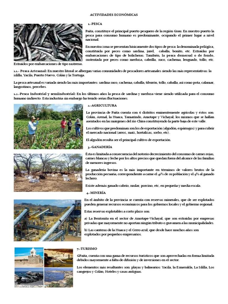 Actividades Económicas en la Región Piura: Pesca, Agricultura, Turismo e Industria - Cómo es la agricultura en Piura actividades economicas en la region piura pesca agricultura turismo industria - Cómo es la agricultura en Piura