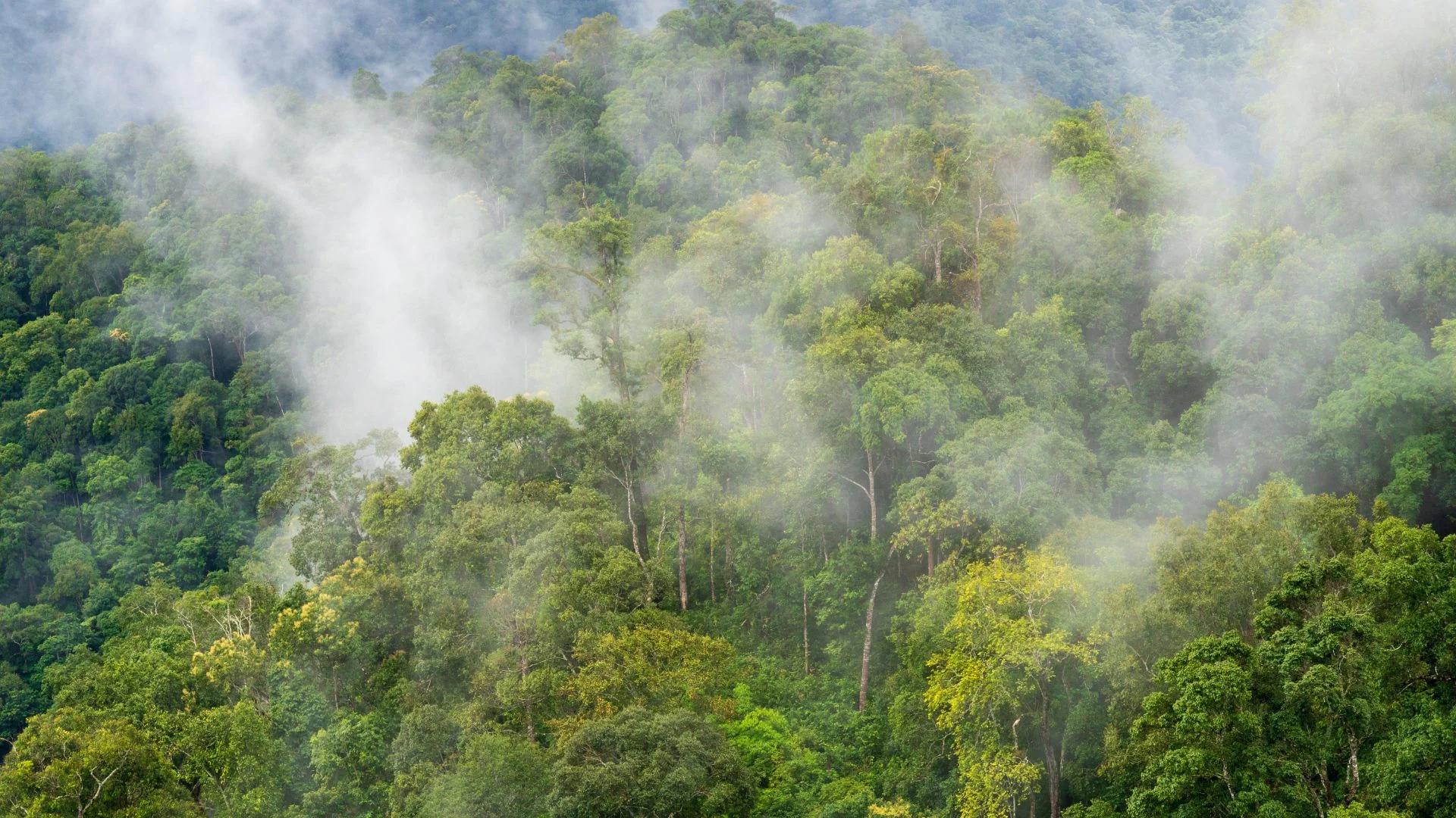 Costa Rica: Turismo en Temporada de Lluvias - Cómo es la temporada de lluvias en Costa Rica costa rica turismo lluvia - Cómo es la temporada de lluvias en Costa Rica