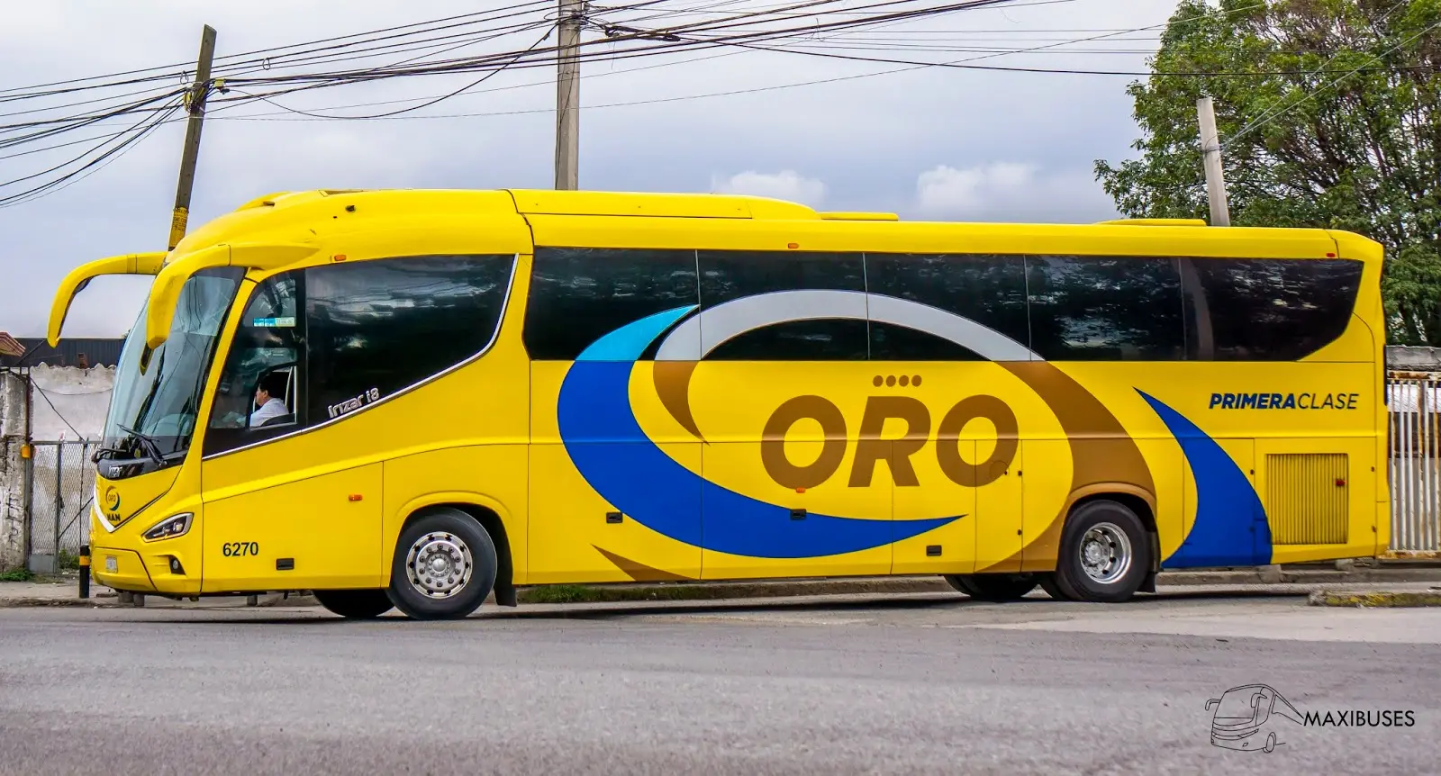 autotransportes oro gran turismo y primera clase facturacion - Cómo facturo mi boleto de autobús