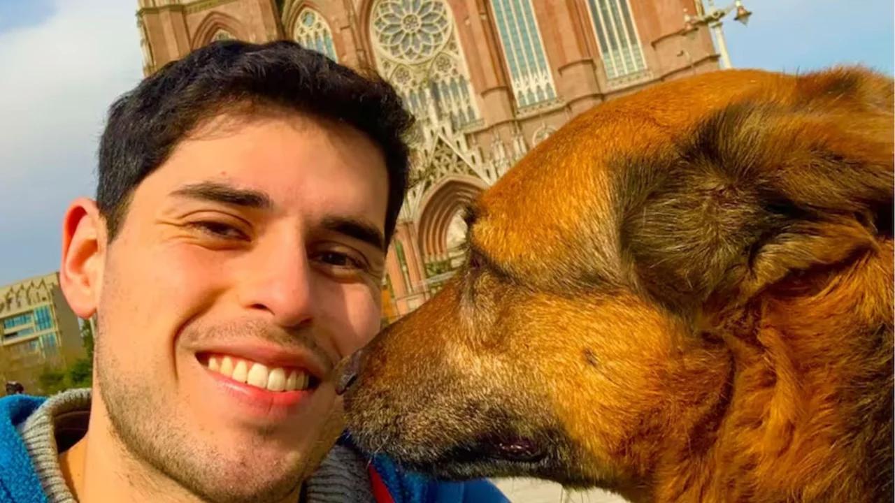 Aplicaciones de Turismo para Mascotas: La Guía Definitiva - Cómo funciona My Pets aplicaciones de turismo para mascotas - Cómo funciona My Pets