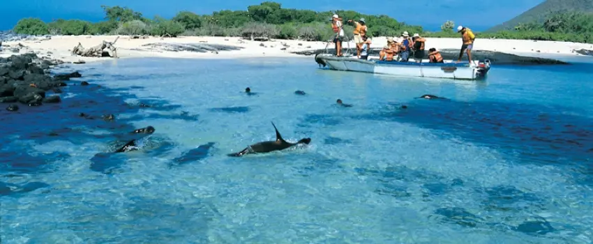 Islas Galápagos: Turismo desde Argentina - Cómo ir a las Islas Galápagos desde Argentina islas galapagos turismo desde argentina - Cómo ir a las Islas Galápagos desde Argentina