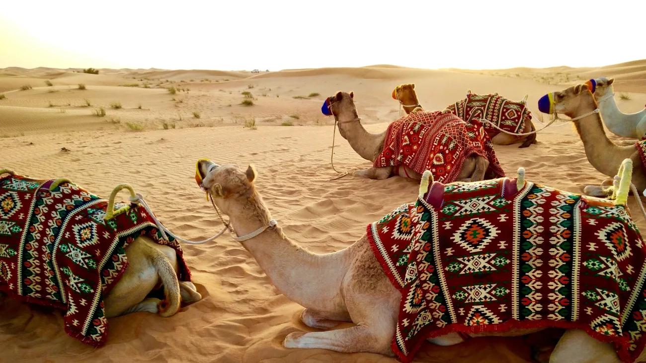 Cómo Vestir en Dubái: Guía Completa para Turistas - Cómo ir vestida al desierto de Dubái turismo en dubai como vestir - Cómo ir vestida al desierto de Dubái