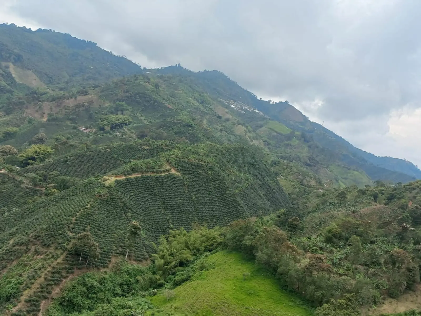 Balboa Risaralda: Turismo en el Balcón Florido de los Andes - Cómo le dicen a Balboa Risaralda balboa risaralda turismo - Cómo le dicen a Balboa Risaralda