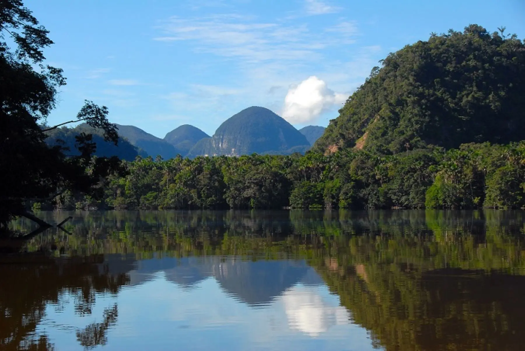 Parque Nacional Cordillera Azul: Turismo en la Selva Alta Peruana - Cómo llegar a la cordillera azul parque nacional cordillera azul turismo - Cómo llegar a la cordillera azul