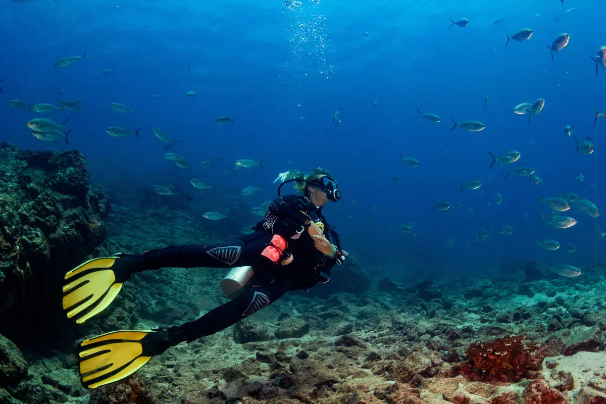 isla coiba turismo - Cómo llegar a la isla de Coiba