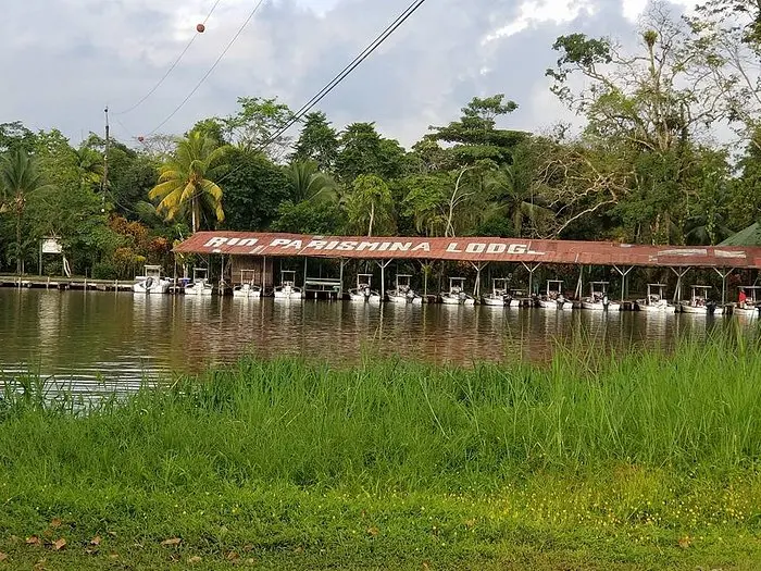 Turismo en Parismina, Costa Rica: Una Experiencia Única - Cómo llegar a Parismina, Costa Rica costa rica turismo parismina - Cómo llegar a Parismina, Costa Rica