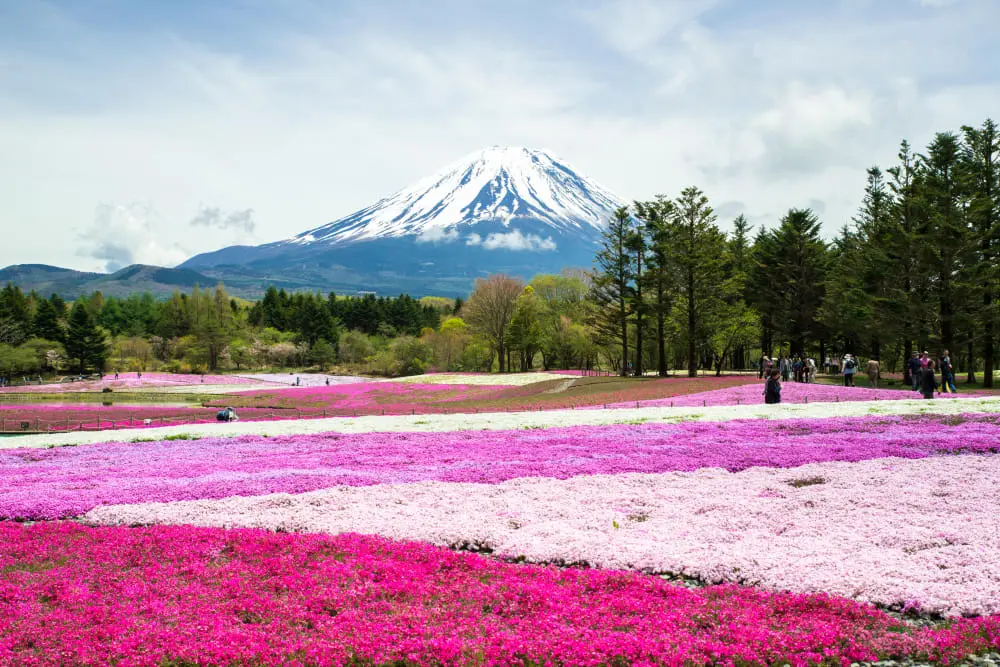 turismo en yamanashi - Cómo llegar a Yamanashi