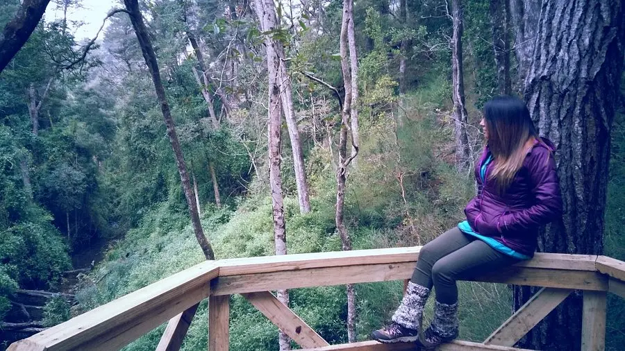 Turismo en Nonguén, Chile: Un viaje a la historia y la naturaleza - Cómo llegar al parque Nonguén desde Concepción chile ong turismo nonguen - Cómo llegar al parque Nonguén desde Concepción