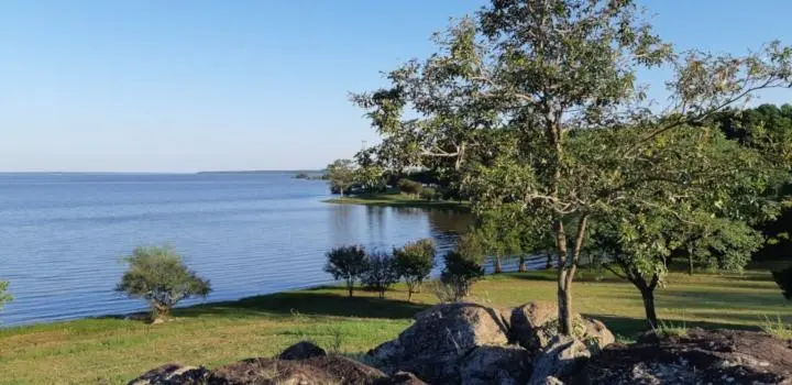 Turismo Salto, Uruguay: Guía completa para tu viaje - Cómo saber la deuda de contribución Salto turismo salto gub uy - Cómo saber la deuda de contribución Salto