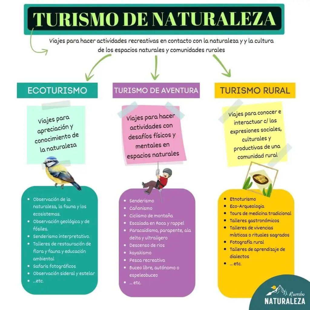 como se llama aquello que estudia el turismo - Cómo se le dice a un profesional de turismo