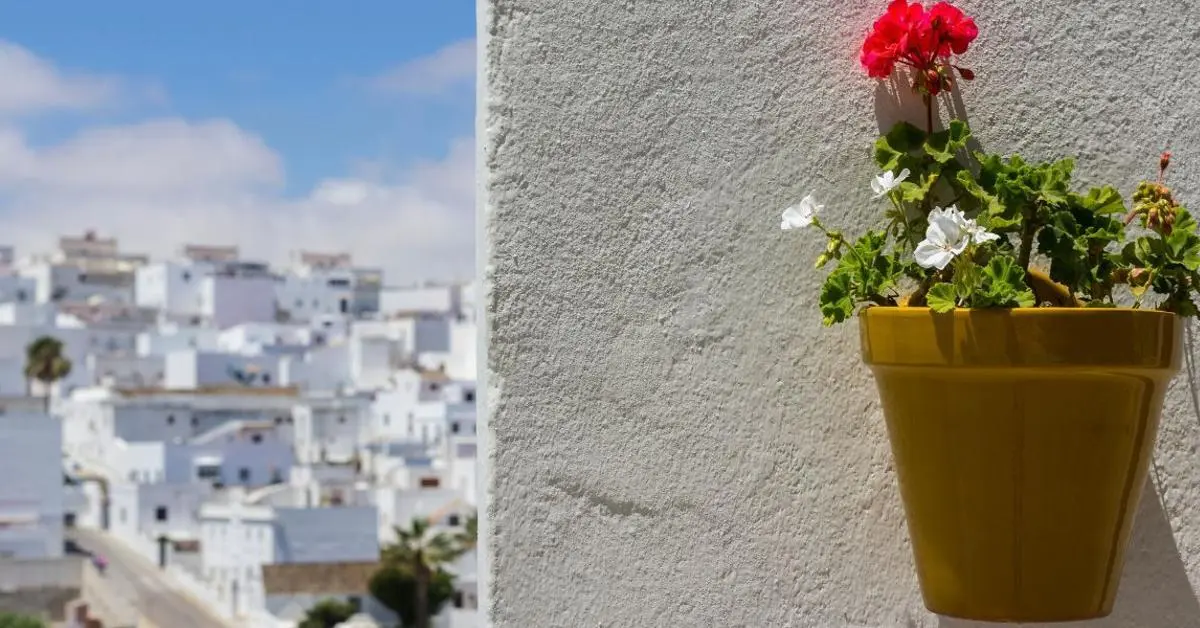 <b>Coria Turismo</b>: Guía Completa de la Muy Noble y Muy Leal Ciudad - Cómo se les llama a los de Coria coria turismo - Cómo se les llama a los de Coria