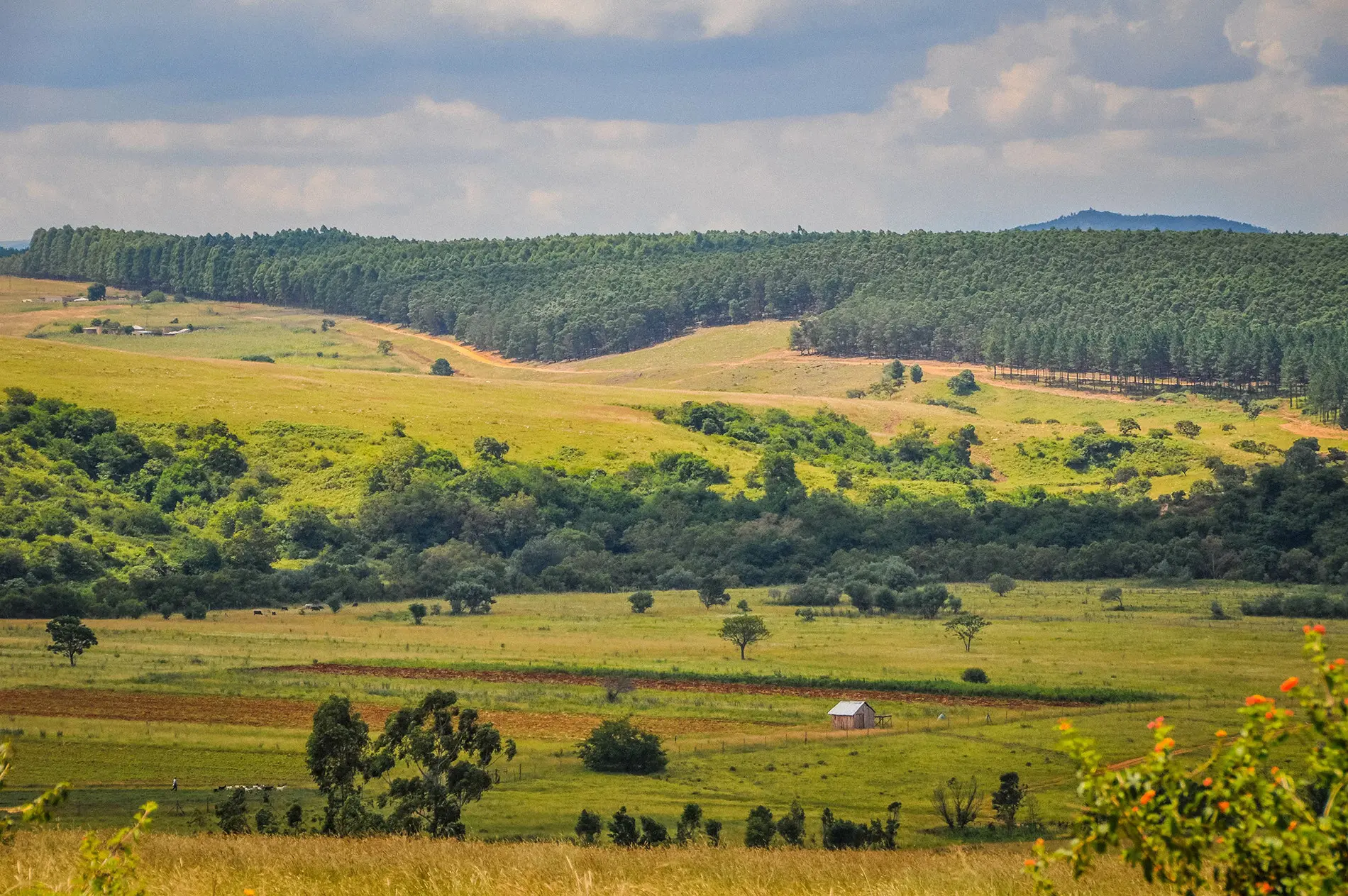 eswatini turismo - Cómo se llama ahora Swaziland