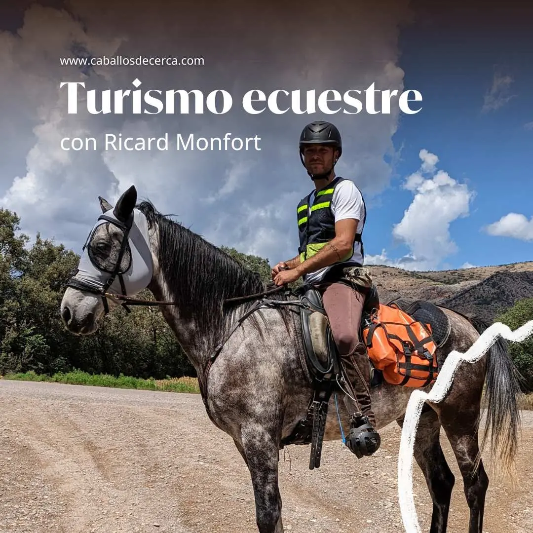 Turismo Ecuestre: Una Aventura a Caballo - Cómo se llama el turismo con caballos turismo ecuestre - Cómo se llama el turismo con caballos
