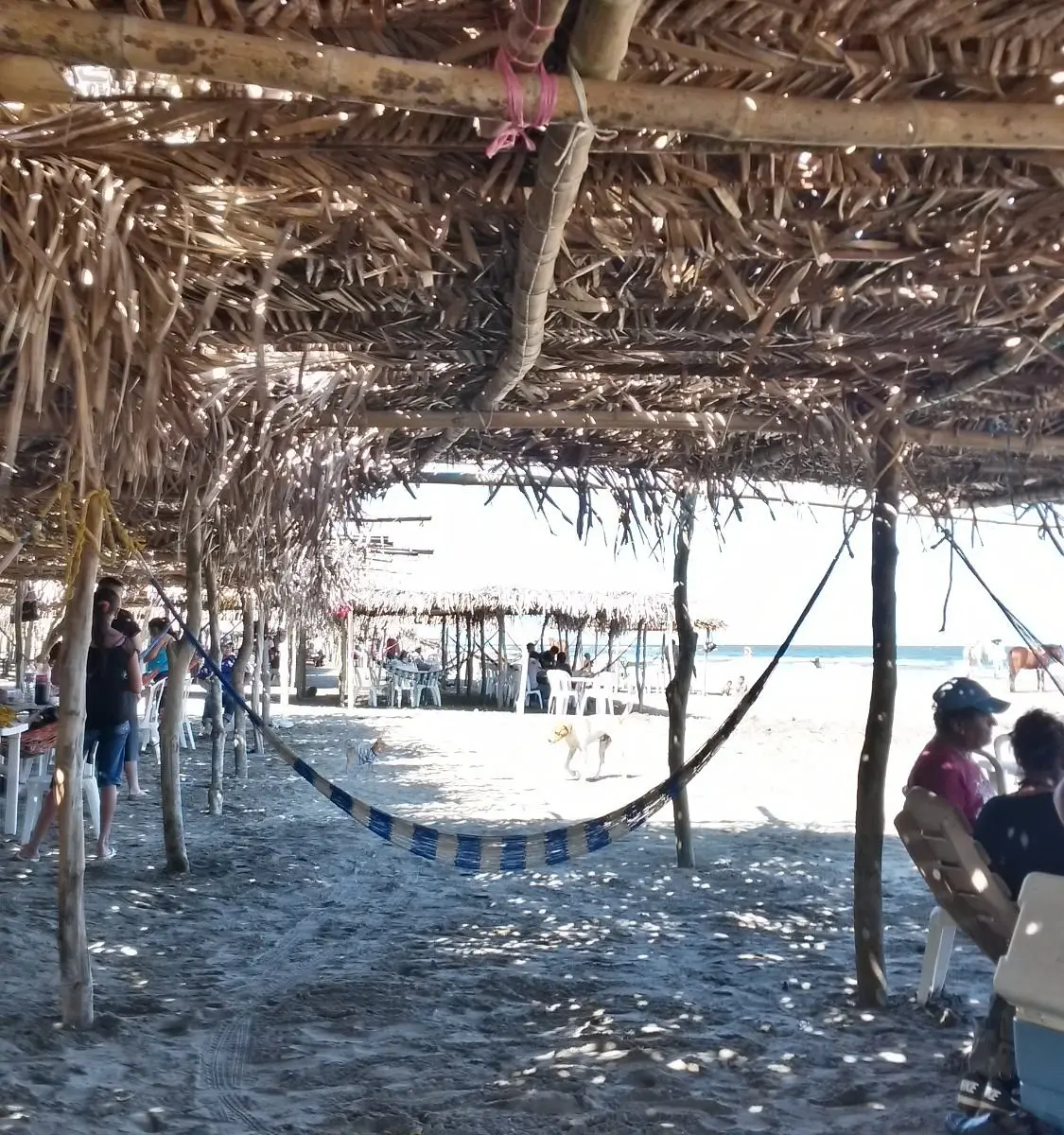 Turismo Coatza: Guía Completa de la Perla del Golfo - Cómo se llama la playa de Coatzacoalcos turismo coatza - Cómo se llama la playa de Coatzacoalcos