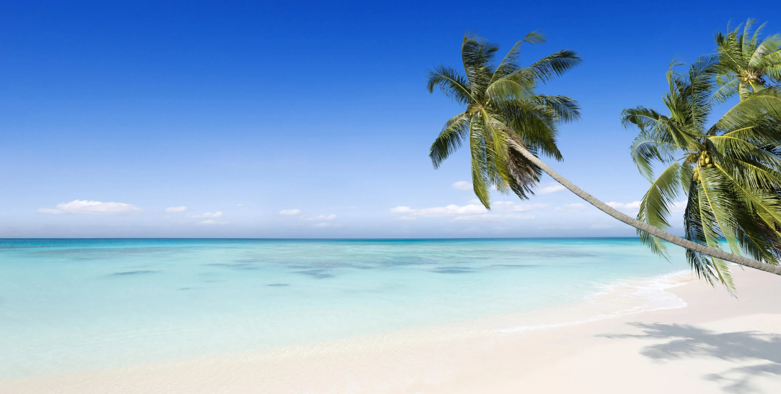 <b>Provincia de San José de Ocoa: Turismo</b>, Naturaleza y Aventura en el Corazón de República Dominicana - Cómo se llaman los ríos de San José de Ocoa provincia de san jose de ocoa turismo - Cómo se llaman los ríos de San José de Ocoa