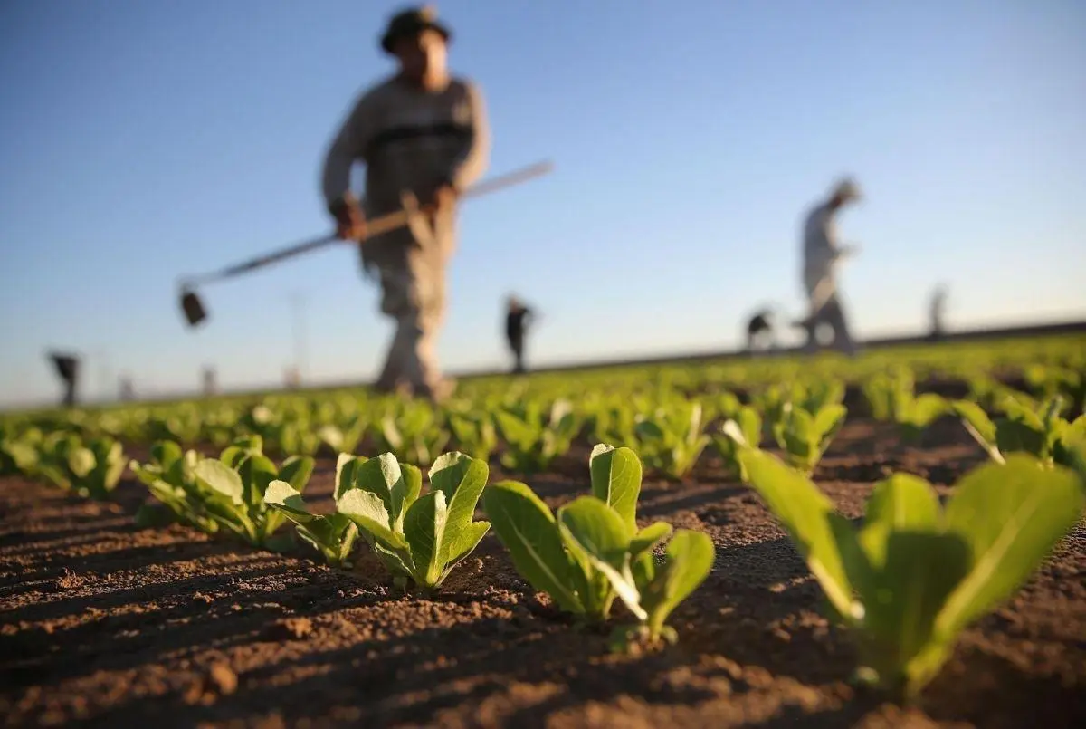 <b>Agricultura</b>, <b>Silvicultura</b> y <b>Turismo</b>: Un Modelo de Desarrollo Sustentable - Cómo se relaciona la silvicultura con la agricultura agricola silvocultura y turismo - Cómo se relaciona la silvicultura con la agricultura
