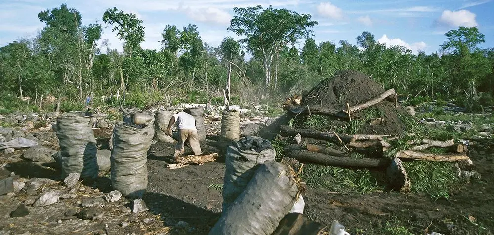 Recursos Naturales Dañados por el Turismo en República Dominicana - Cómo se ven afectados los recursos naturales en la República Dominicana recursos naturales dañados por el turismo en republica dominicana - Cómo se ven afectados los recursos naturales en la República Dominicana