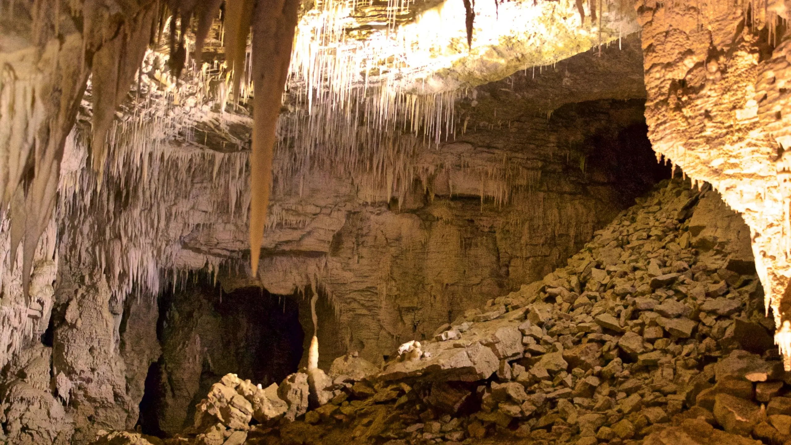 Cuevas de Waitomo: Turismo y Luciérnagas - Cómo ver las cuevas de Waitomo cuevas de waitomo turismo - Cómo ver las cuevas de Waitomo