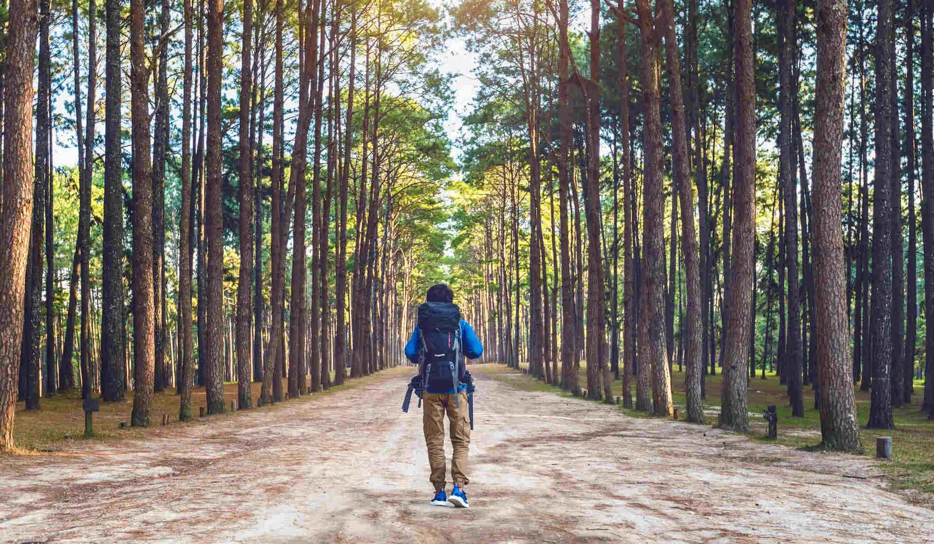 che cos è il turismo sostenibile - Cosa fare per rendere il turismo sostenibile