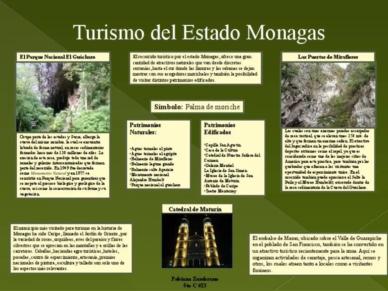 Fauna, Flora y Turismo en el Estado Monagas: Una Guía Completa - Cuál es el árbol emblemático del estado Monagas fauna flora y turismo del estado monagas - Cuál es el árbol emblemático del estado Monagas