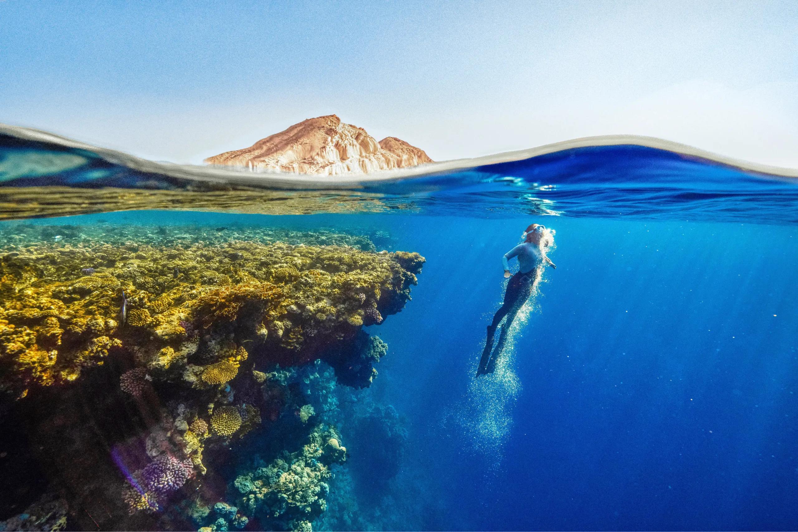 Costa de Brasil: Turismo Joven - Guía Completa para Mochileros - Cuál es el Caribe brasilero costa de brasil turismo joven - Cuál es el Caribe brasilero