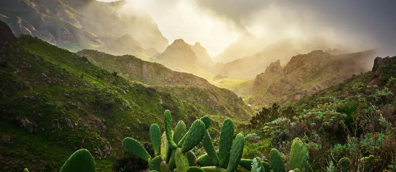 Guía Completa de Turismo en Tenerife: La Isla de la Eterna Primavera - Cuál es el lugar más bonito de Tenerife isla de tenerife turismo - Cuál es el lugar más bonito de Tenerife