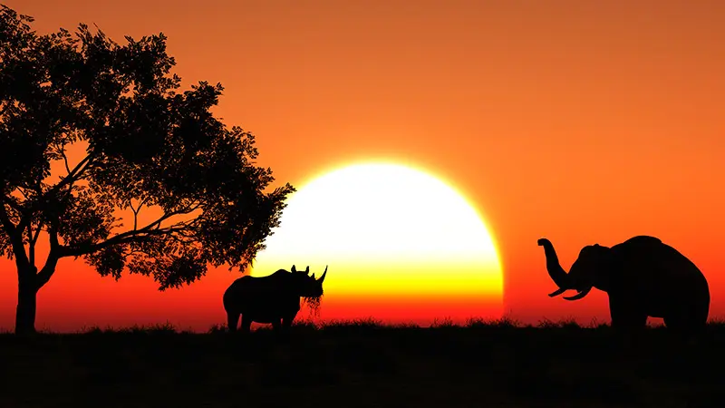 africa turismo natural - Cuál es el mejor destino en África