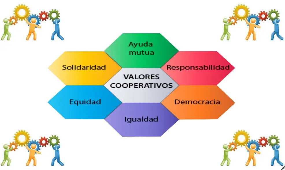 Características de las Cooperativas en el Turismo - Cuál es el objetivo principal de una cooperativa caracteristicas del cooperativa en el turismo - Cuál es el objetivo principal de una cooperativa