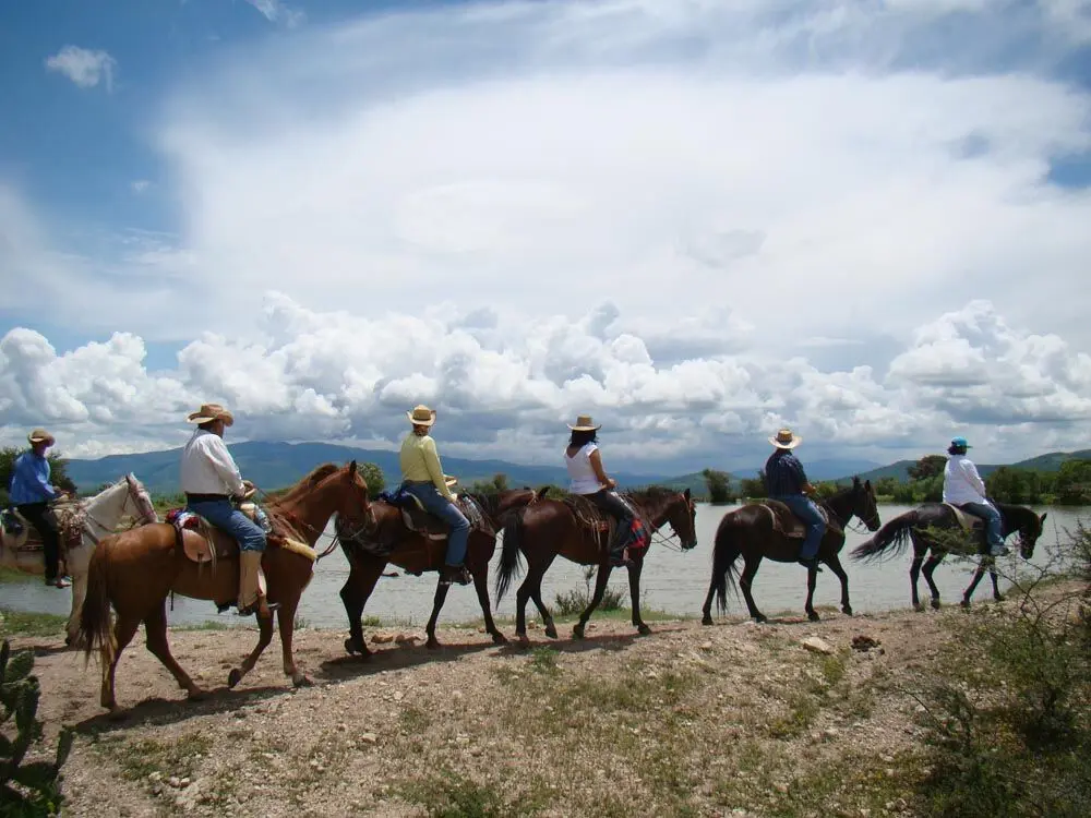 Cabalgata en Turismo: Definición, Propósito y Experiencias - Cuál es el propósito de una cabalgata cabalgata en turismo definicion - Cuál es el propósito de una cabalgata