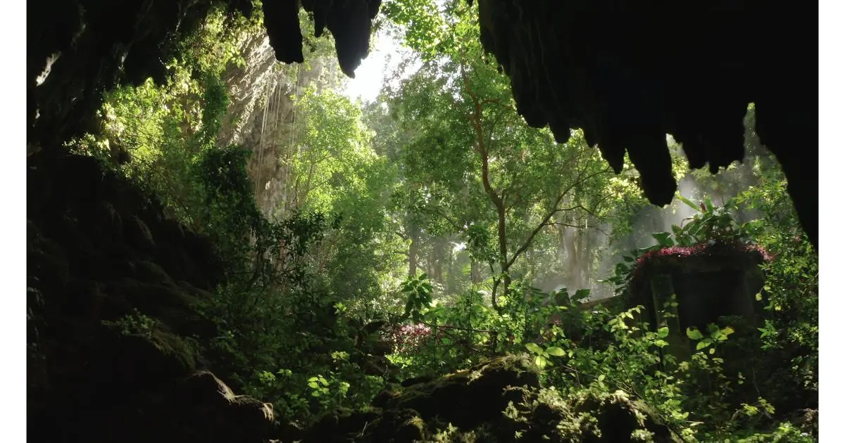 Cueva del Indio en Puerto Rico: Guía Completa para Turistas - Cuál es la cueva más grande de Puerto Rico cueva del indio puerto rico turismo - Cuál es la cueva más grande de Puerto Rico