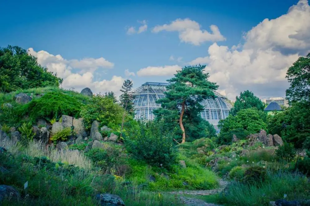<b>La Importancia de la Botánica en el Turismo: Un Sector en Crecimiento</b> - Cuál es la importancia de la botánica cual es la importancia de la botanica en el turismo - Cuál es la importancia de la botánica