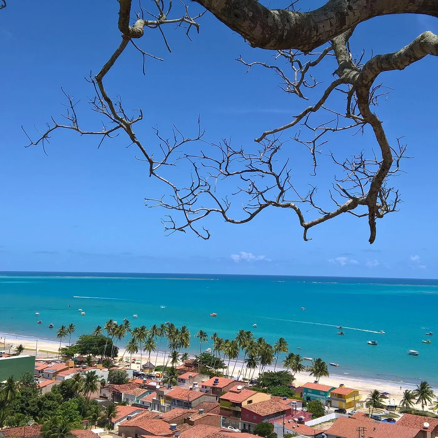Turismo en Maragogi: La Guía Definitiva para tu Viaje - Cuál es la mejor época para ir a Maragogi turismo maragogi - Cuál es la mejor época para ir a Maragogi