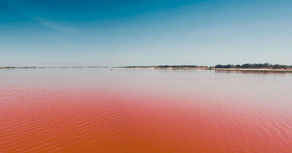 senegal turismo opiniones - Cuál es la mejor época para viajar a Senegal