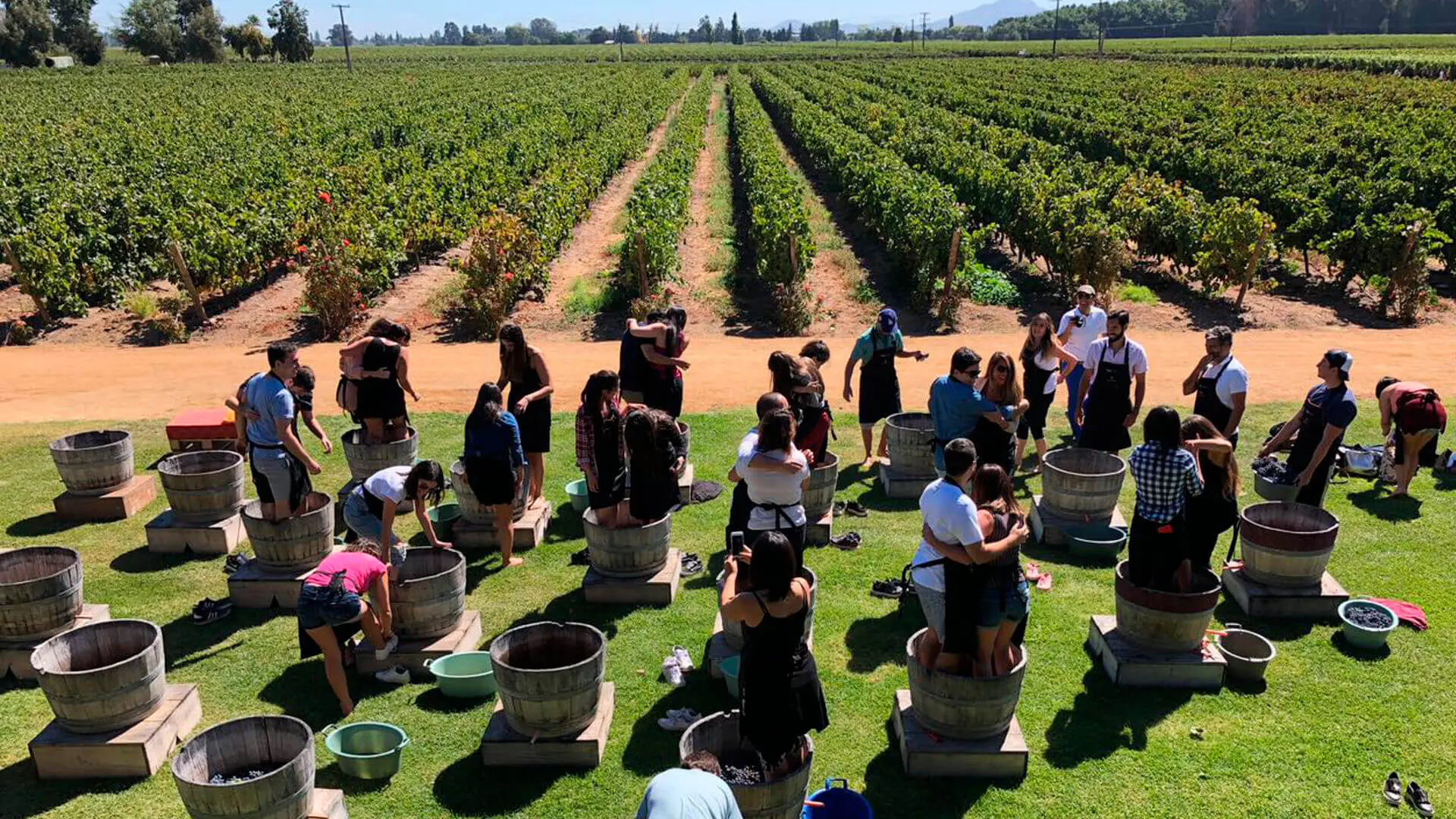 Las Mejores Rutas del Vino en México: Una Guía Completa para el Enoturista - Cuál es la mejor ruta del vino turismo de vino - Cuál es la mejor ruta del vino