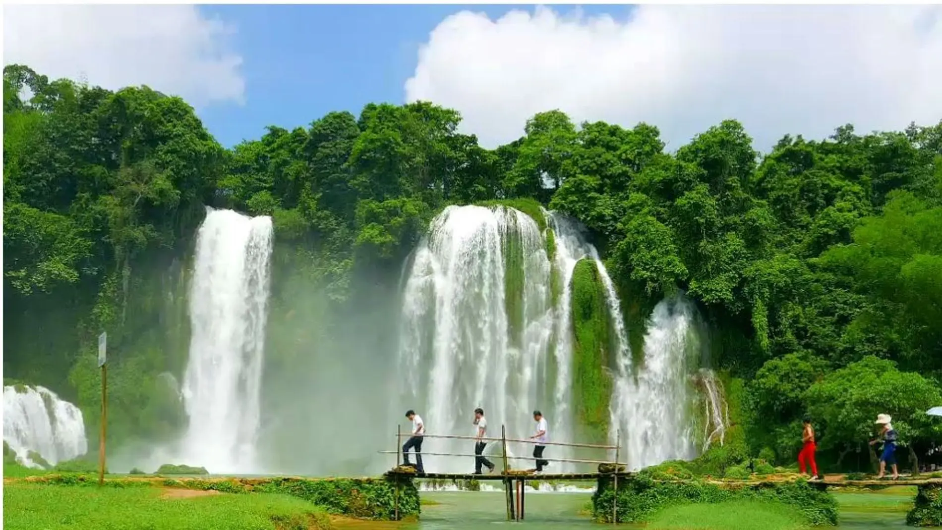 turismo y vegetacion de asia - Cuál es la vegetación de Asia