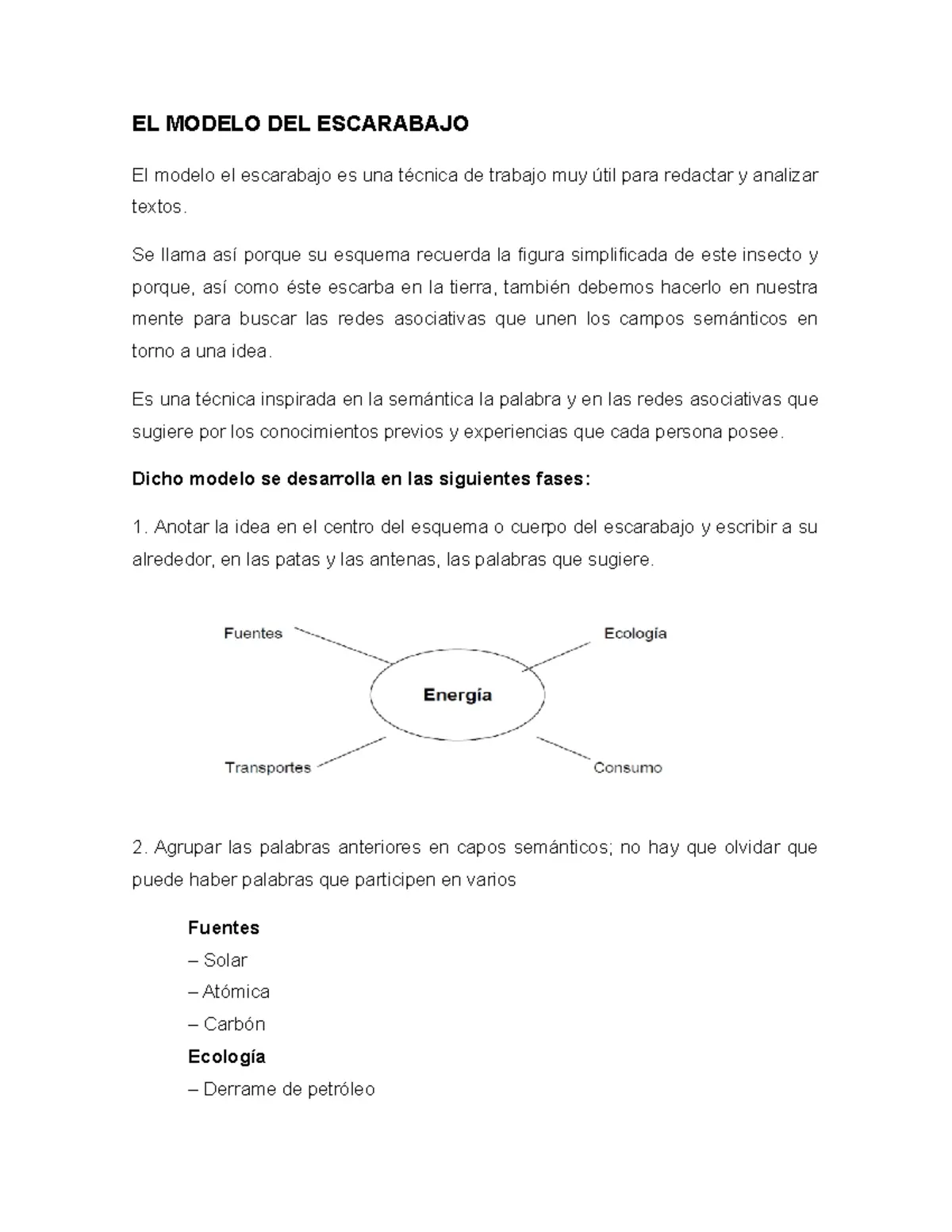 esquema escarabajo turismo - Cuáles son las fases del modelo escarabajo