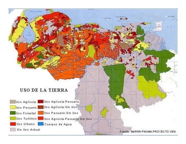 actividad agropecuaria pesquera y turismo en venezuela - Cuáles son las zonas pesqueras más importantes de Venezuela