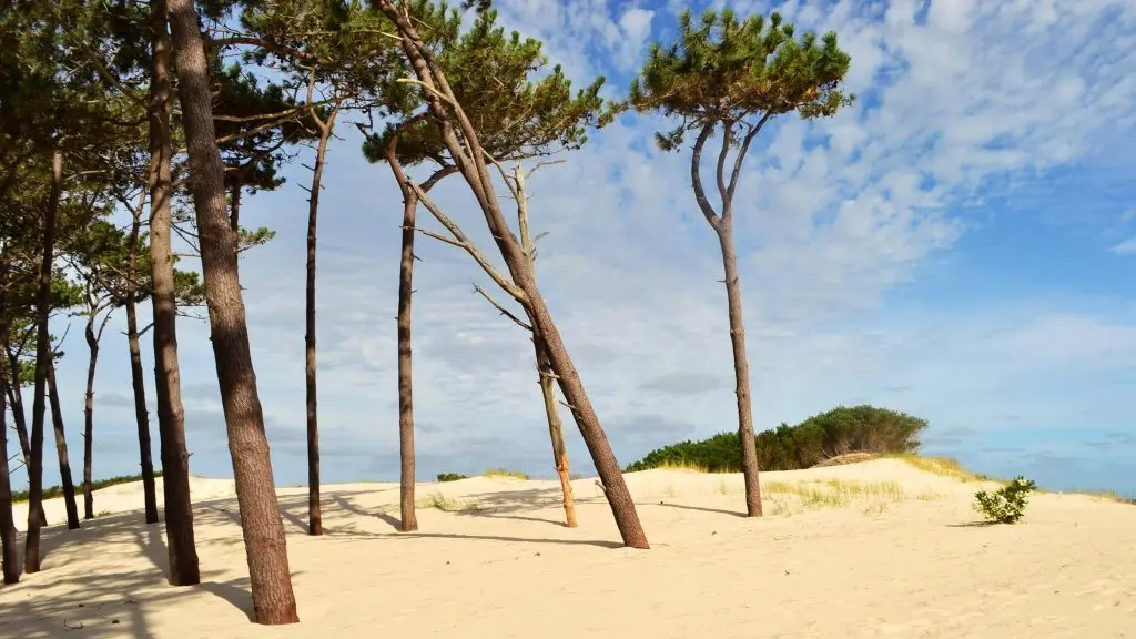Descubre el Paraíso: Guía Completa de Turismo en la Costa de Oro - Cuáles son los balnearios de la costa de Oro turismo costa de oro - Cuáles son los balnearios de la costa de Oro