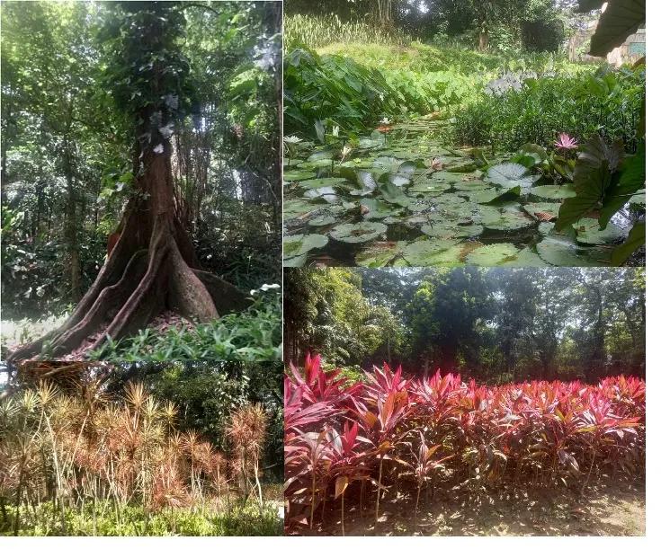 Turismo de Naturaleza en Yaracuy: Una Guía Completa - Cuáles son los paisajes del estado Yaracuy estado yaracuy turismo naturak - Cuáles son los paisajes del estado Yaracuy