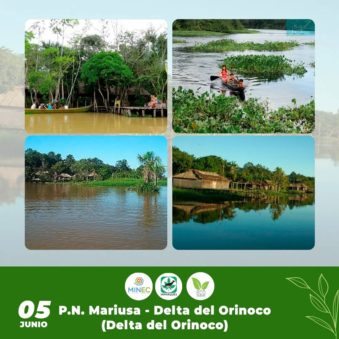 division del parque nacional mariusa turismo - Cuáles son los parques nacionales del estado Delta Amacuro