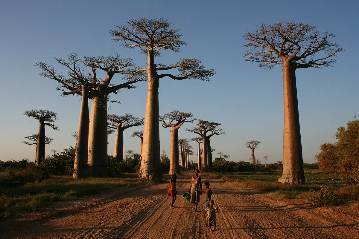 como impacta la cultura de madagascar en el turismo - Cuáles son los problemas del turismo en Madagascar