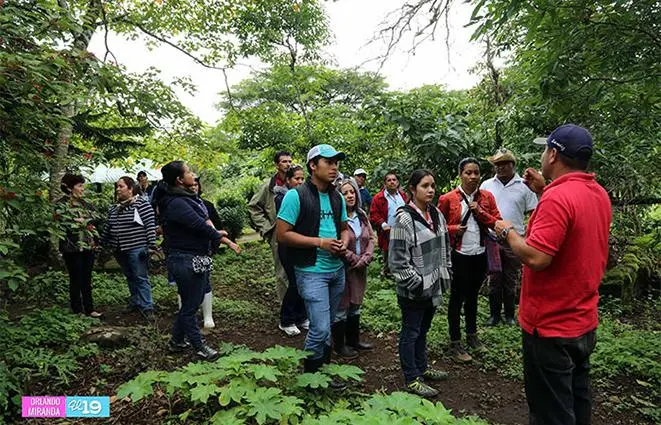 Guías Locales Nacionales del Turismo de Naturaleza: Experiencias Auténticas y Sostenibles - Cuáles son los tipos de guías turísticos guias locales nacionales del turismo de naturaleza - Cuáles son los tipos de guías turísticos