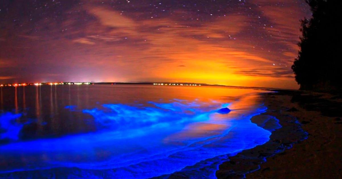<b>Bucerías, Nayarit:</b> La Guía Definitiva para tu Viaje a la Riviera Nayarit - Cuándo es la bioluminiscencia en Bucerias, Nayarit bucerias nayarit turismo - Cuándo es la bioluminiscencia en Bucerias, Nayarit