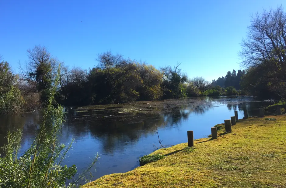 isla de maipo turismo - Cuándo es la fiesta de la Virgen Isla de Maipo