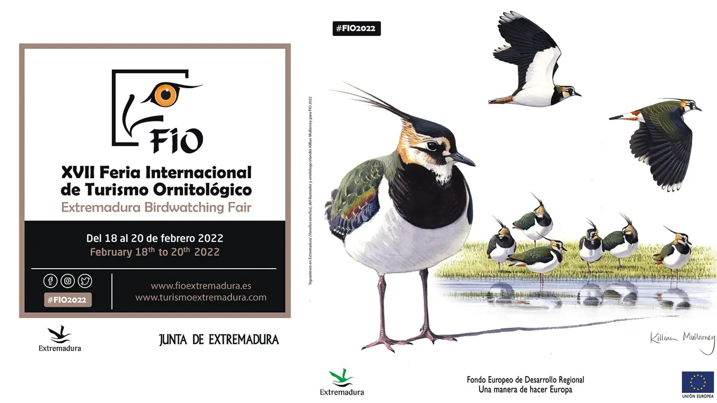 Feria Internacional de Turismo Ornitológico (FIO) 2024: Un éxito rotundo en Monfragüe - Cuándo es la fio en Monfrague feria internacional de turismo ornitológico - Cuándo es la fio en Monfrague