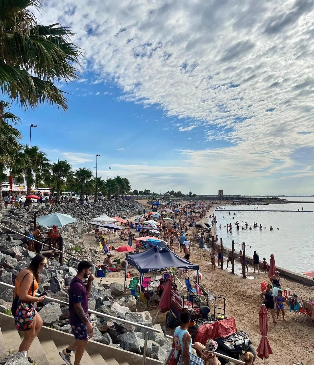 turismo miramar de ansenuza - Cuándo están los palmeras en Miramar de Ansenuza